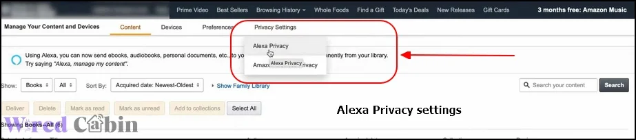 Alexa Privacy setting