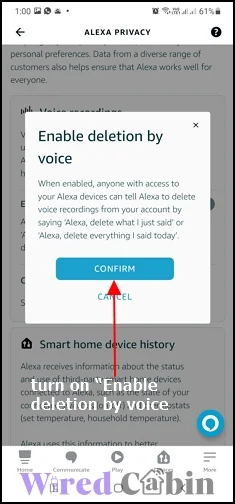turn on Enable deletion by voice